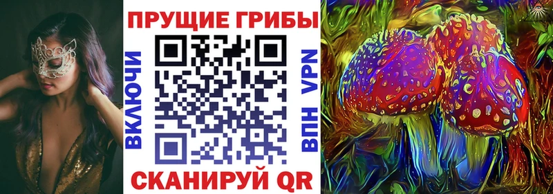 цена   Борзя  Псилоцибиновые грибы Cubensis 